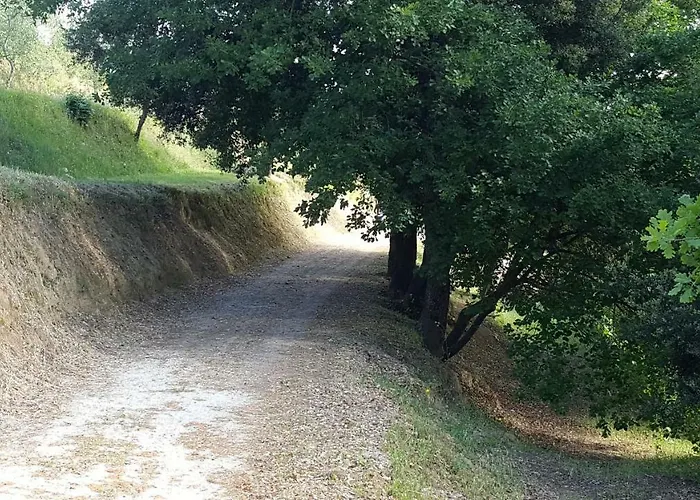 Le Querce * Palaia