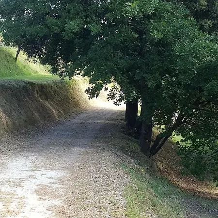 Le Querce * Palaia